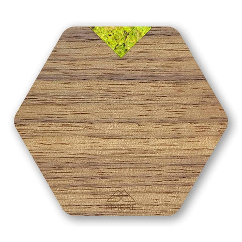 American Walnut Coasters / Set of 4 coasters